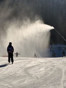 IMG 0517