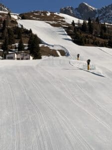 IMG 3246